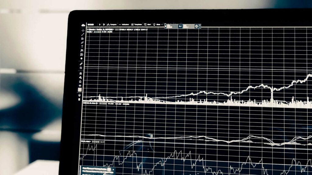 Computerbildschirm, auf dem eine Grafik in schwarz weiß abgebildet ist.