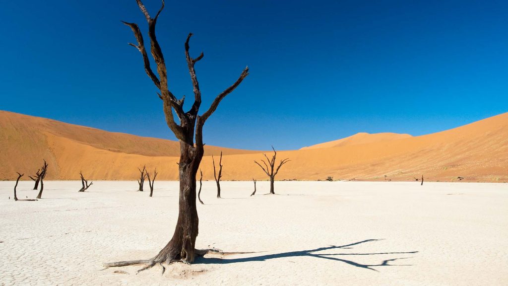 Namib-Wüste